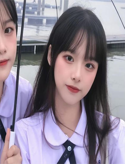 《查莉成长日记圣诞假期》美学价值重构分析：艺术美感与审美特征探讨